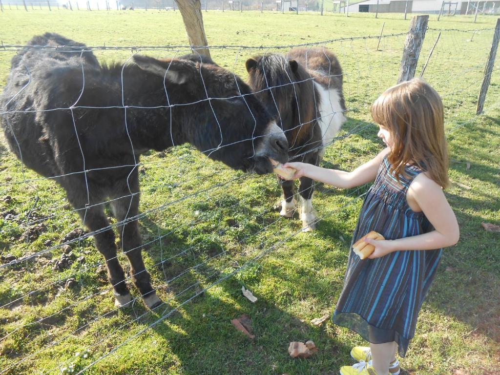 La Ferme Des 3 Suissesses Bed and Breakfast Saint-Paul  Buitenkant foto