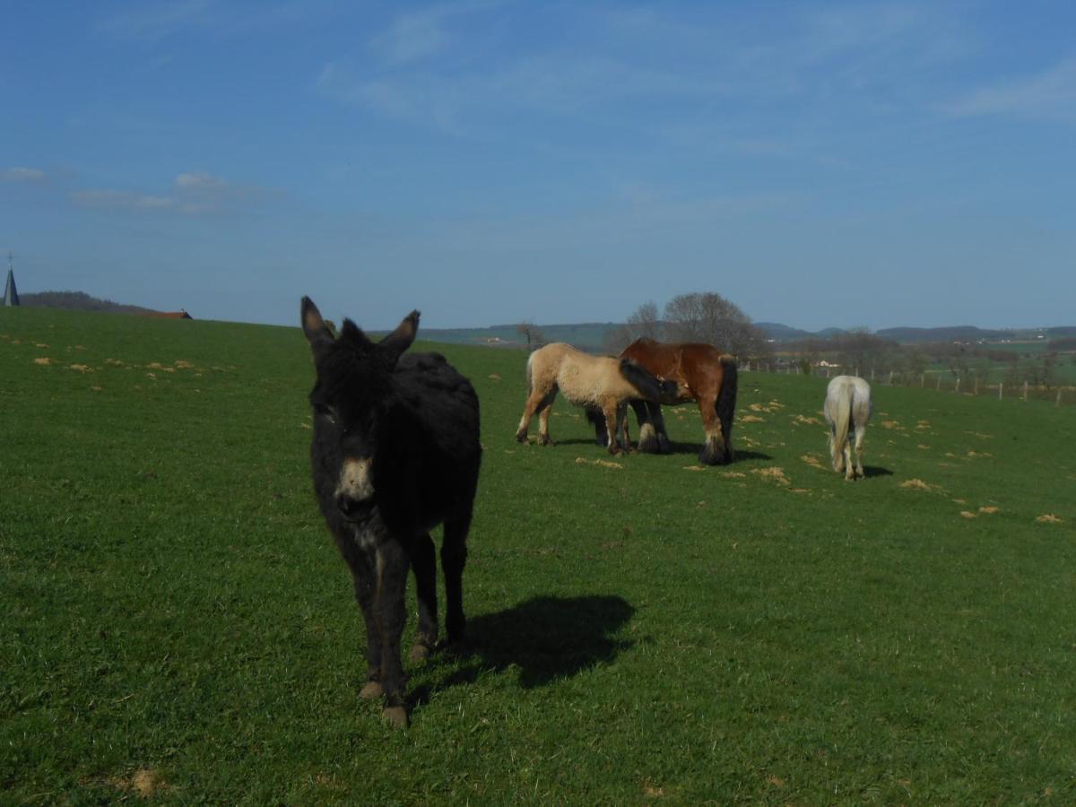 La Ferme Des 3 Suissesses Bed and Breakfast Saint-Paul  Buitenkant foto
